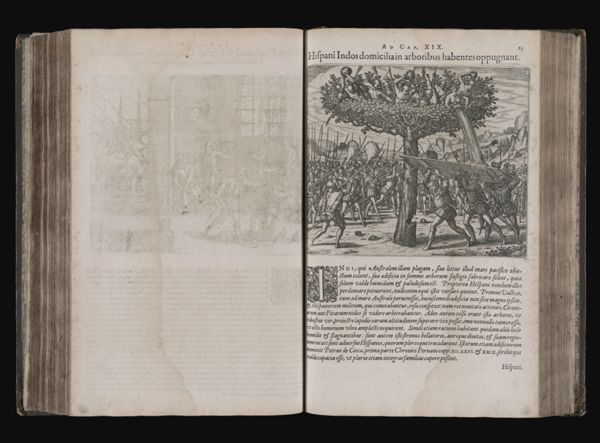 Ad Cap. XIX. Hispani Indos domicilia in arboribus habentes oppugnant.