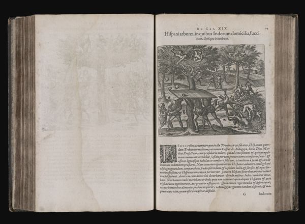 Ad Cap. XIX. Hispaniarbores, in quibus Indorum domicilia, succidunt, illosque deturbent.