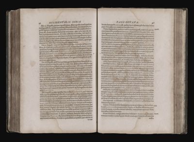Page 231