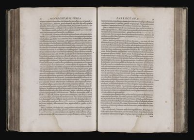 Page 233