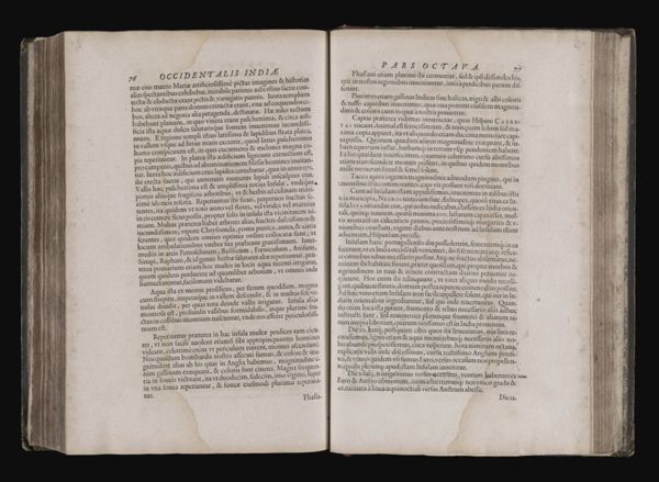 Page 246