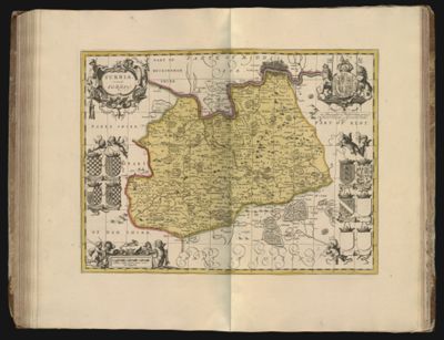 Surria. vernacule Surrey.