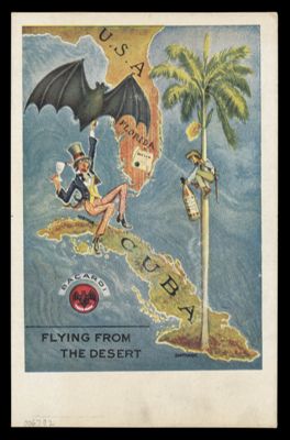 Flying from the desert.