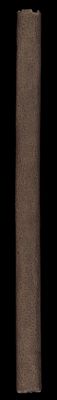 [Spine]