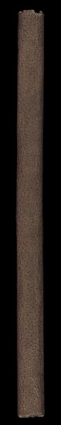 [Spine]