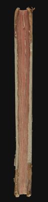 [Fore edge]