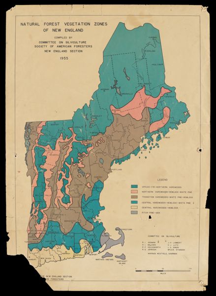 Natural Forest Vegetation Zones of New England