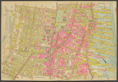 Plate 1