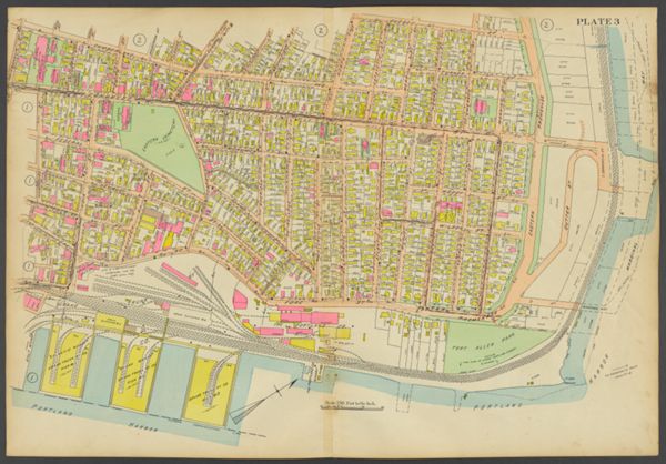 Plate 3