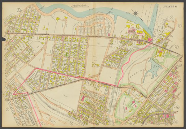 Plate 6