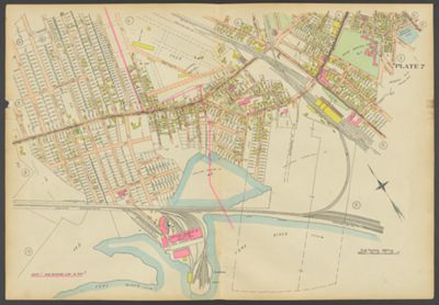 Plate 7