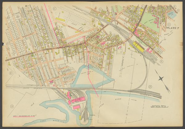 Plate 7
