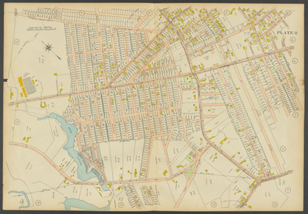 Plate 8