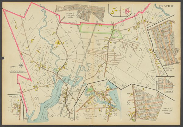 Plate 10