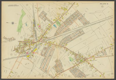 Plate 11