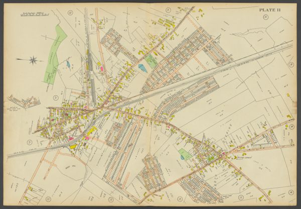 Plate 11