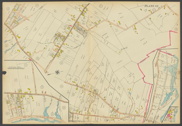 Plate 13