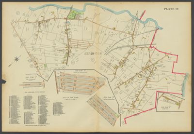 Plate 14