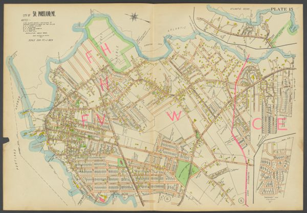 Plate 15