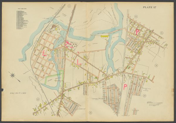 Plate 17