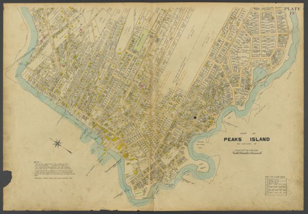 Plate 19
