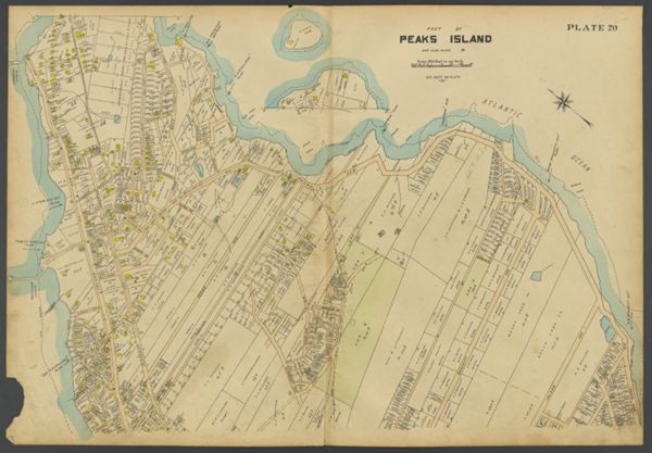 Plate 20