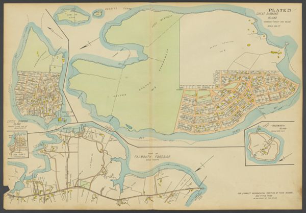 Plate 21