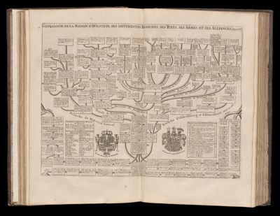 Genealogie de la maison d'Holstein, ses differentes branches, ses titres, ses armes, et ses alliances. Tom. 2. No. 16.