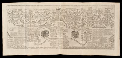 Carte genealogique de la maison de Nassau, dans la quelle l'on fait remarquer, son origine, et les diferentes branches, quelle à formée, ses armes, ses titres, et ese diverses alliances Tome 2 No. 21.