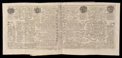 Carte genealogique de la maison de Brandebourg, avec celle de la maison d'Ascanie les differentes branches q. u' elles ont formé, leurs armes et leurs alliances. Tome 2 No. 34
