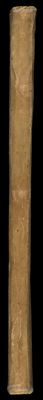 [Spine]