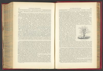 Page 224