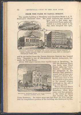 From the Park to Canal Street