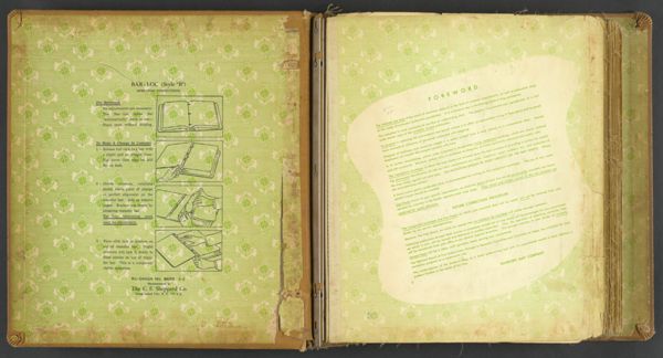 Foreword