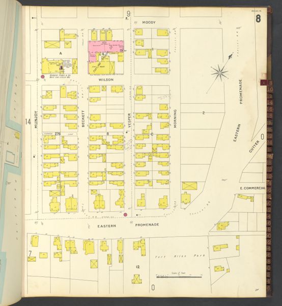 Sheet 8
