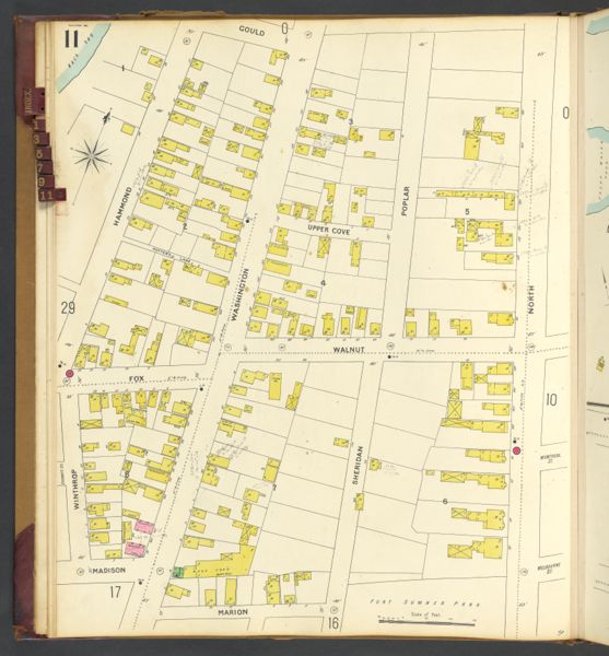 Sheet 11
