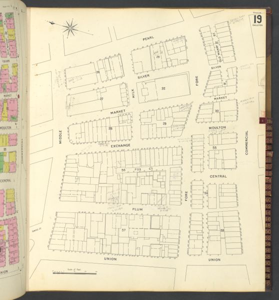 Sheet 19 Skeleton