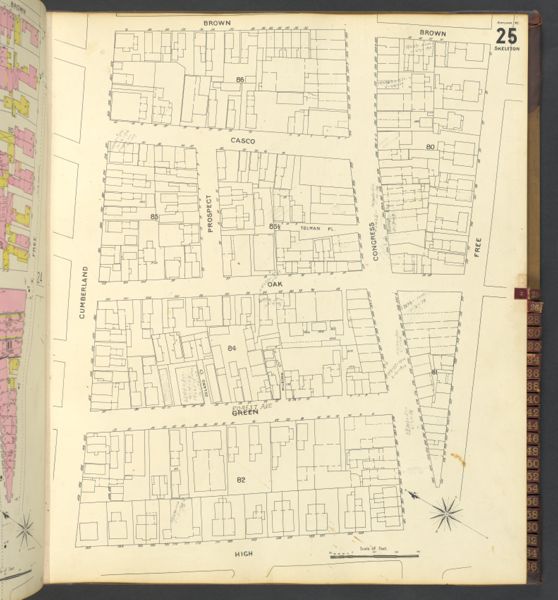 Sheet 25 Skeleton