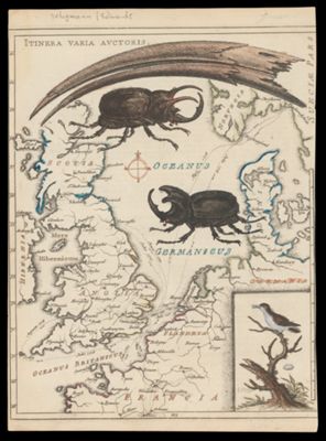 Itinera Varia Auctoris