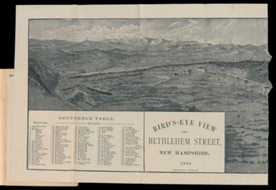 Bird's-Eye View of Bethlehem Street, New Hampshire. 1881