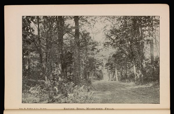 Ravine Road, Middlesex Fells.