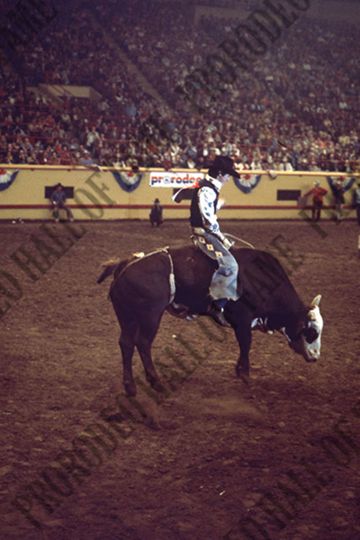 Marvin Shoulders Bull Riding