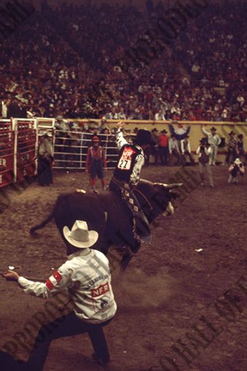Marvin Shoulders Bull Riding