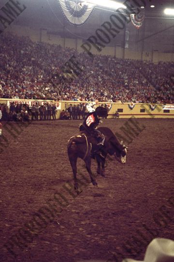 Marvin Shoulders Bull Riding