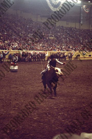 Marvin Shoulders Bull Riding