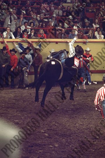 A.J. Swaim Bull Riding