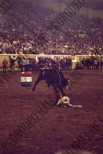 Mike Bandy Bull Riding