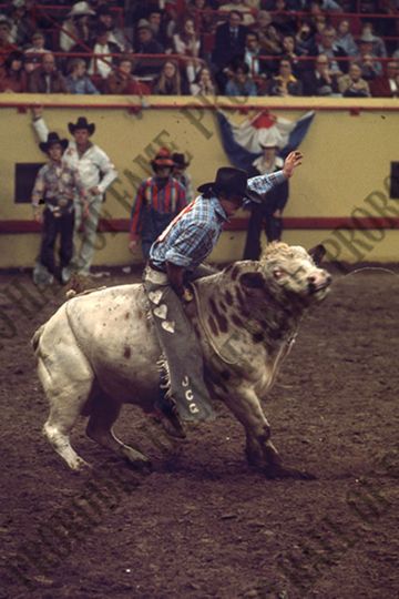 John Gloor Jr. Bull Riding
