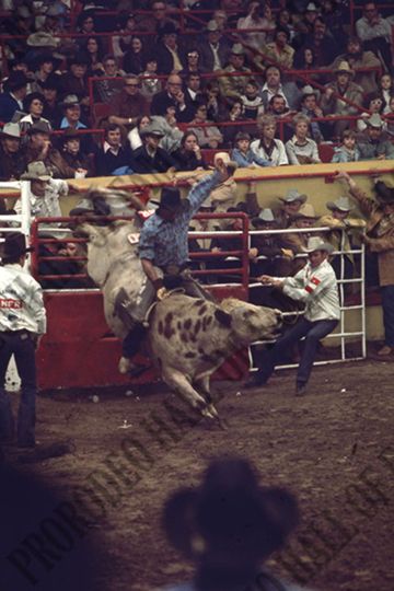John Gloor Jr. Bull Riding