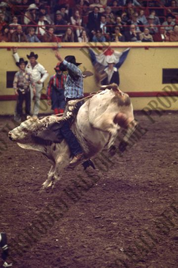 John Gloor Jr. Bull Riding